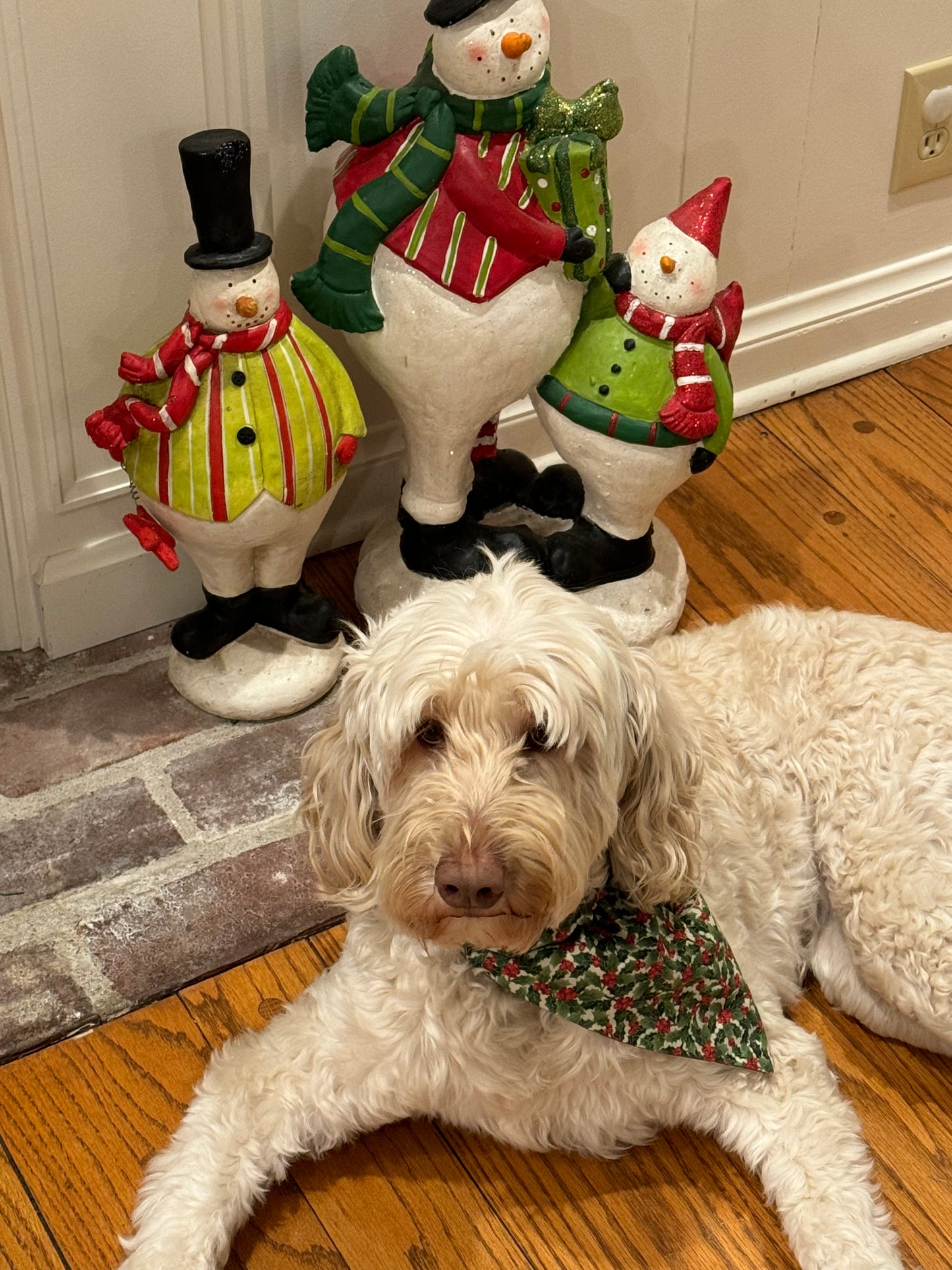 Plaid and Holly
