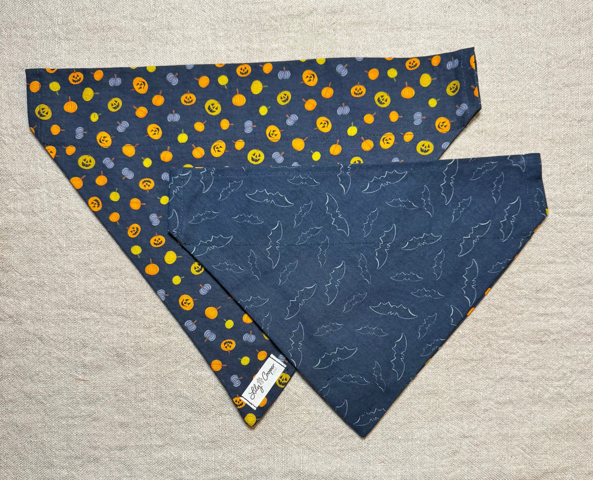 Navy Blue Pumpkins and Bats