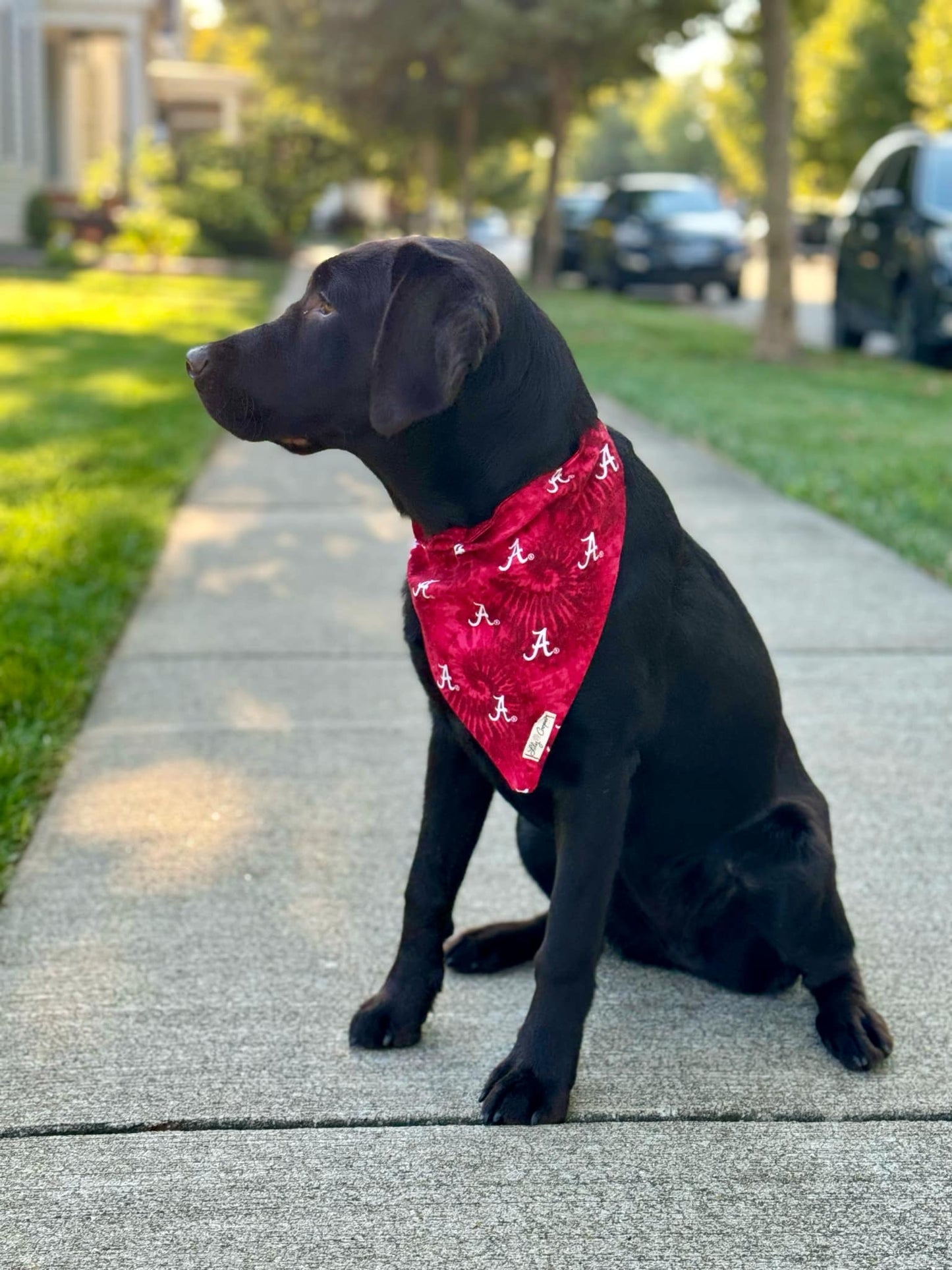 Alabama Crimson Tide