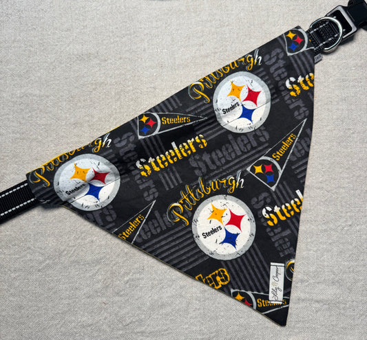 Pittsburgh Steelers