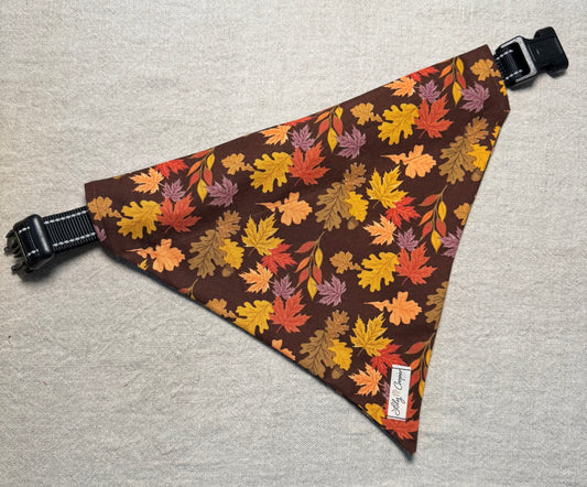 Autumn Leaves and Fall Flowers