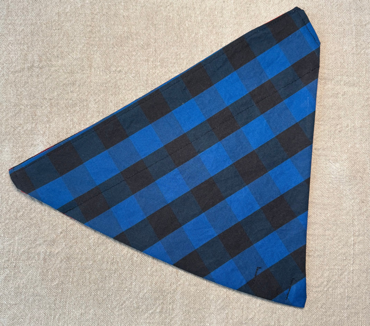 Red and Blue Buffalo Check