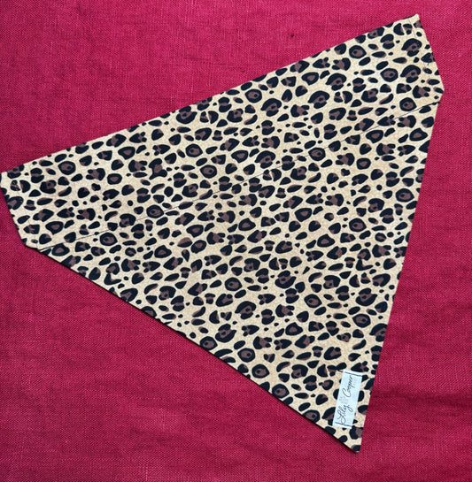 Leopard Print🐆