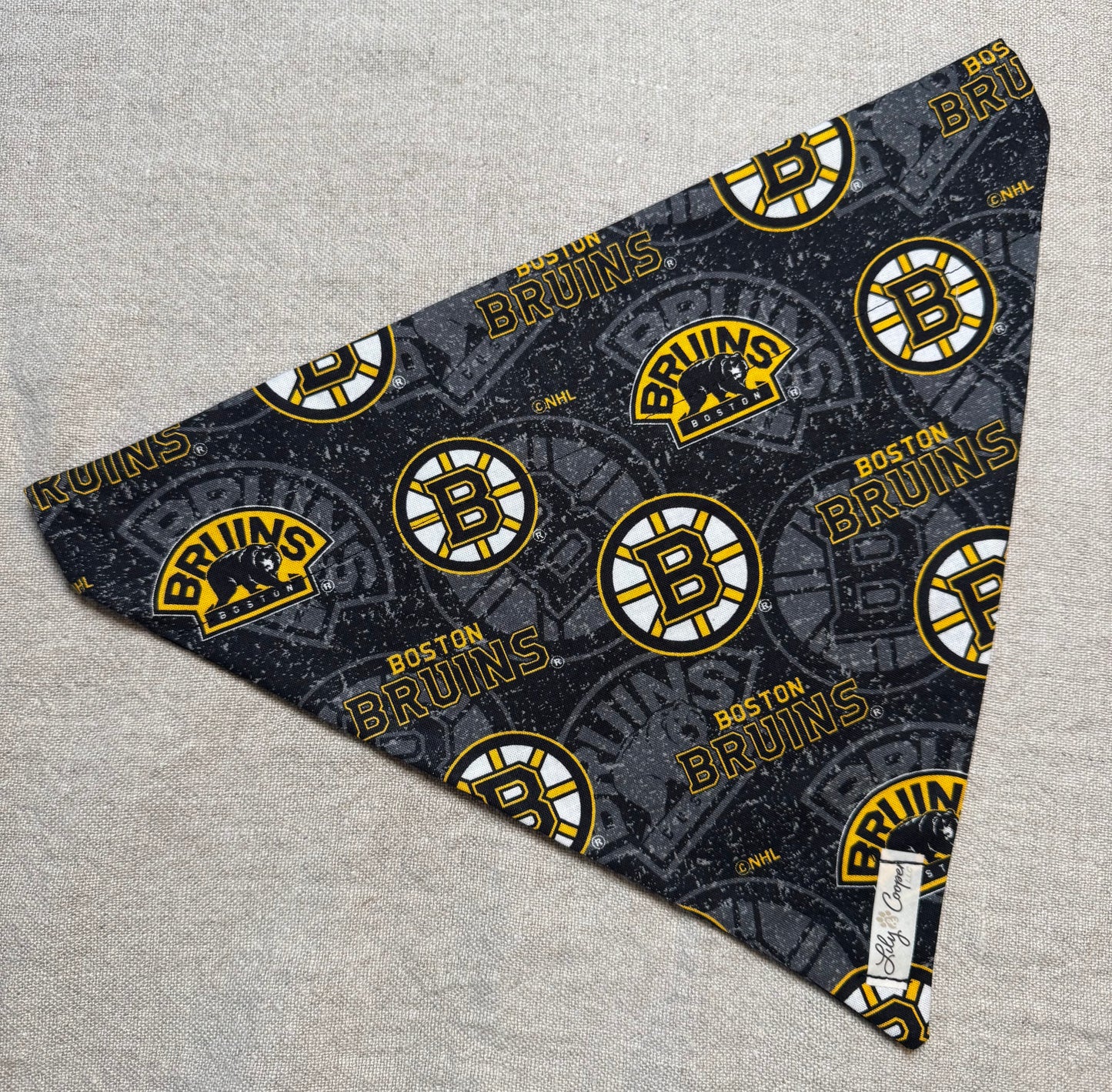 Boston Bruins