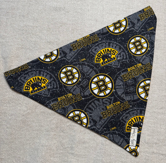Boston Bruins