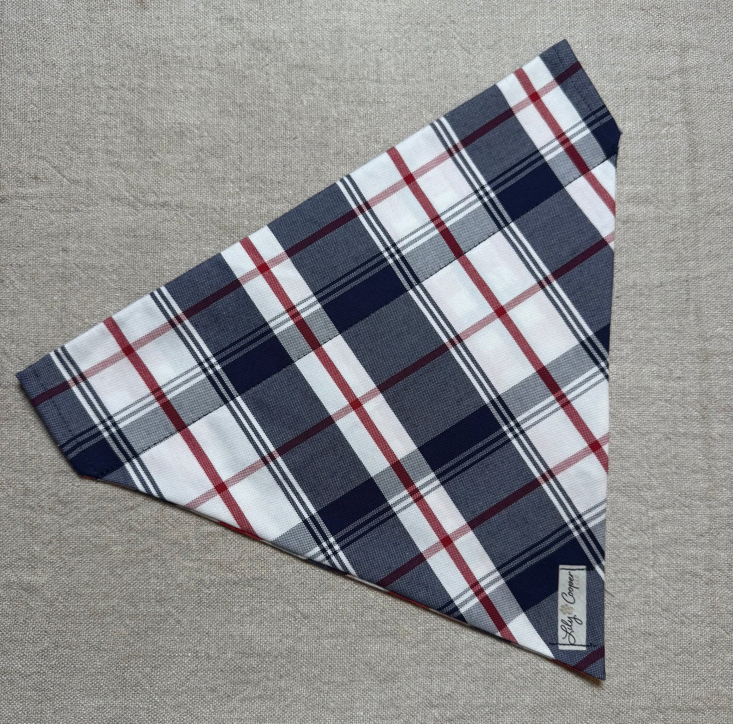 Blue, White & Red Plaid