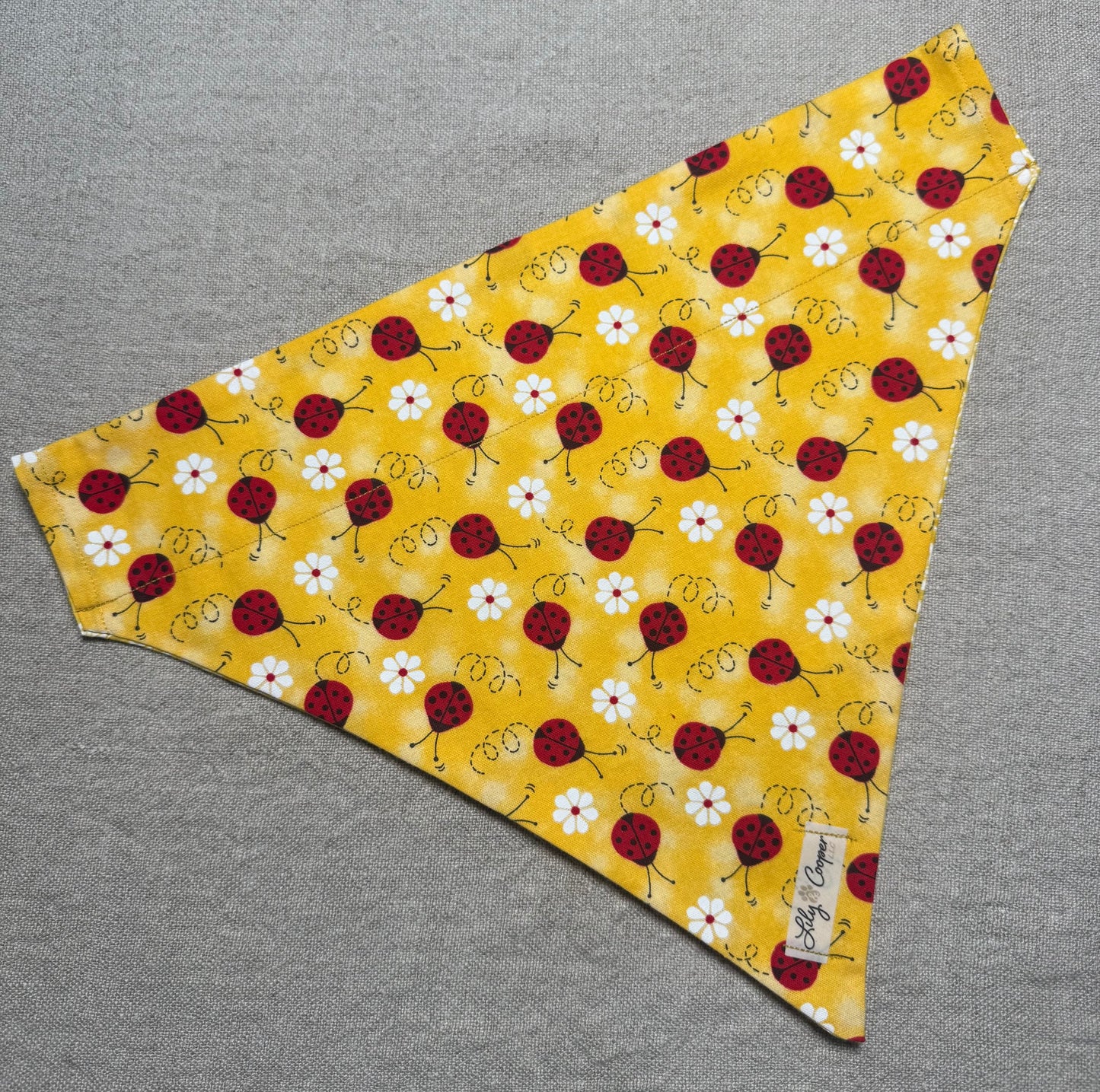 Ladybugs and Flowers