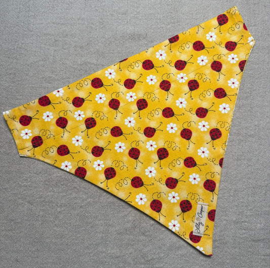 Ladybugs and Flowers