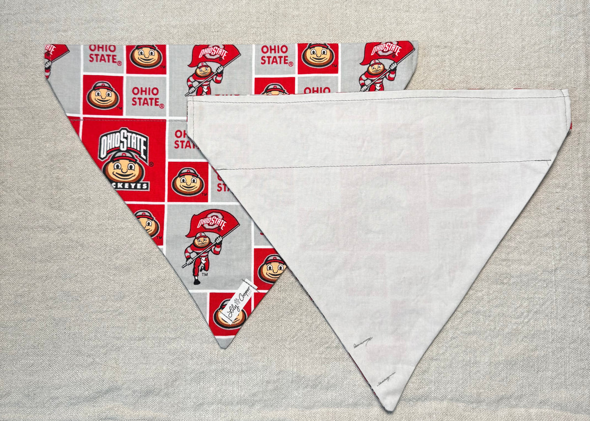 Ohio State Buckeyes